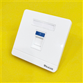 Mặt hình vuông 1 cổng, Mặt Wallplate 1 cổng Picolink PL-MV191-01