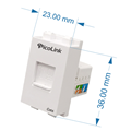 Nhân Mạng RJ45 Cat5, Modul Rack Cat5 PicoLink PL-19155