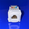 Nhân mạng RJ45 Cat6 , Modul Rack Cat6 Lắp mặt sino, PicoLink PL-1919-6T