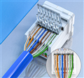 Nhân mạng RJ45 Cat6 , Modul Rack Cat6 Lắp mặt sino, PicoLink PL-1919-6T