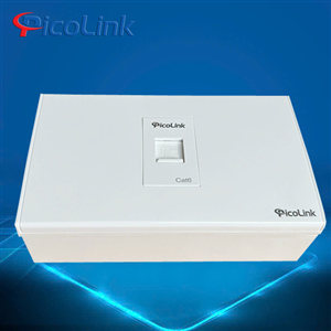 Bộ Wallplate 1 Cổng Mạng Nhân Cat6 PicoLink PL-M19101-M6