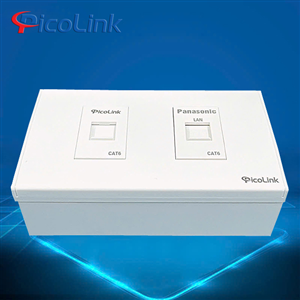 Bộ Wallplate 2 Cổng Mạng Cat6 PicoLink PL-M19101-M66