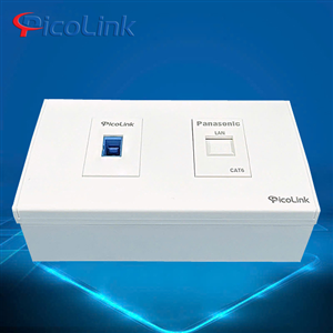 Bộ Wallplate 2 Cổng, Nhân Quang SC, Nhân Mạng Cat6 PicoLink PL-QV19102-QM6