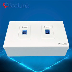 Bộ Wallplate Quang Chuẩn SC 2 Cổng PicoLink PL-Q19101-2Q
