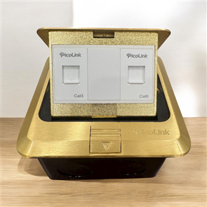 Ổ Cắm Âm Sàn PicoLink PL-036 Nhân Thoại Cat3 + Nhân Mạng Cat6